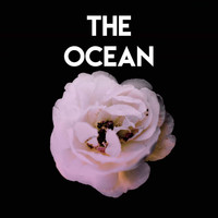 Vibe2Vibe - The Ocean