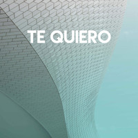 Los Reggaetronics - Te Quiero