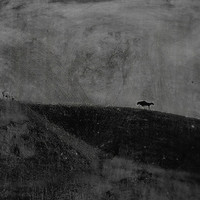 KMRU - Walking Dreams