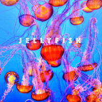 MAII - Jellyfish