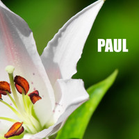 Ocb Relax - Paul