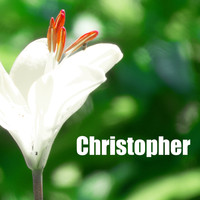 Ocb Relax - Christopher