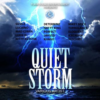 Various Artists - Quiet Storm Riddim