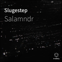 Salamndr - Slugestep
