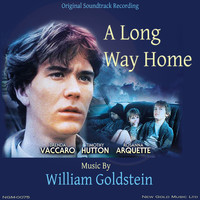 William Goldstein - A Long Way Home