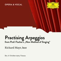 Richard Mayr - Practising Arpeggios