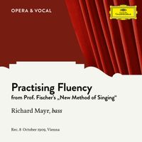 Richard Mayr - Practising Fluency