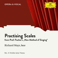 Richard Mayr - Practising Scales