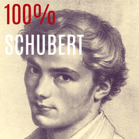 Franz Schubert - 100% Schubert