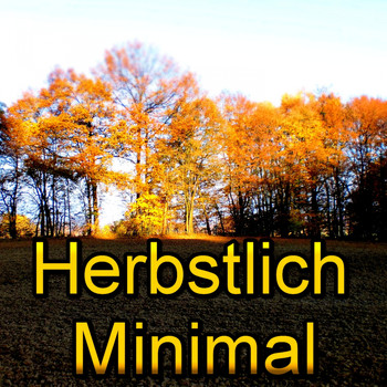 Various Artists - Herbstlich Minimal (30 Minimal Autumn Tracks)
