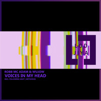Robb Mc Adam, Following Light and Wujow - Voices in My Head