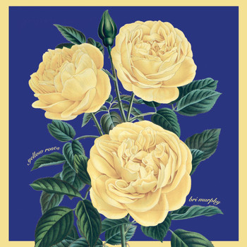 Bri Murphy - Yellow Roses