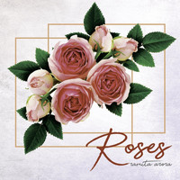Ramita Arora - Roses (Explicit)