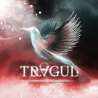 Tragul - The Hummingbird