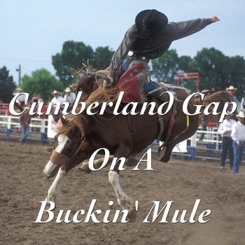Various Artists - Cumberland Gap On A Buckin' Mule