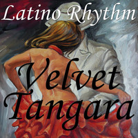 Latino Rhythm - Velvet Tangara