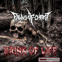 Pawns of Christ - Brink of Life (Explicit)