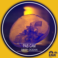 Pas Cam - Deep Ocean