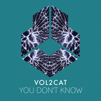 Vol2Cat - You Don't Know
