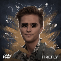 Vinil - Firefly