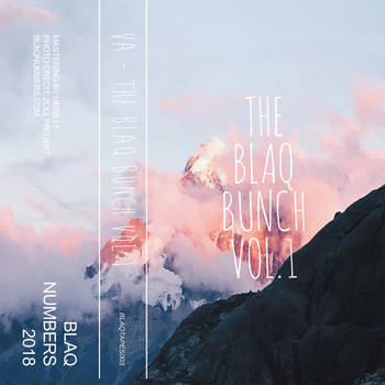 Various Artists - The Blaq Bunch Vol.1