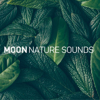 Moon Tunes and Moon Nature Sounds - 8D Nature Sounds