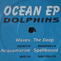 DOLPHINS - Ocean