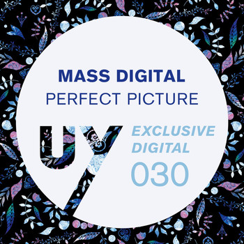 Mass Digital - Perfect Picture EP