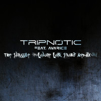 Tripnotic feat. Avarice - The Struggle (Future Funk Squad Remix)