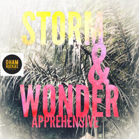 Storm & Wonder - Apprehensive