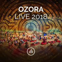 myNoise - Sound Journey (Live At The Ambyss Stage, OZORA 2018)