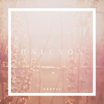 Gentil - Halcyon