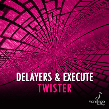 Delayers and Execute - Twister