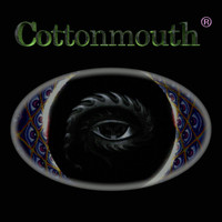 Cottonmouth - Everything's a Conspiracy