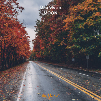 Dim Storm - Moon