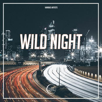 Various Artists - Wild Night