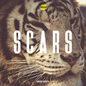Various Artists - Scars