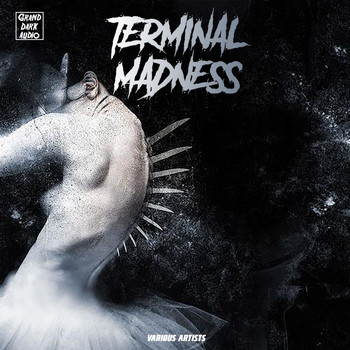 Various Artists - Terminal Madness
