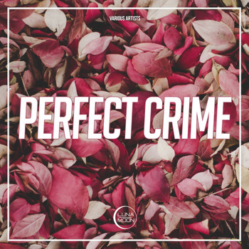 Various Artists - Perfect Crime