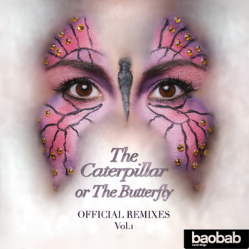 Veroferk - The Caterpillar or The Butterfly (Remixes), Vol. 1
