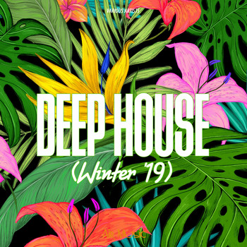 Various Artists - Deep House (Winter '19) (Explicit)