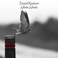 Daniil Kochuro - White Winds