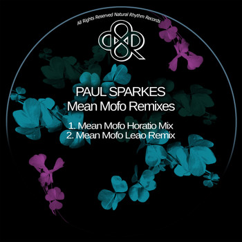 Paul Sparkes - Mean Mofo Remixes