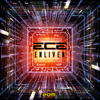 Ece Kanmaz - Enliven
