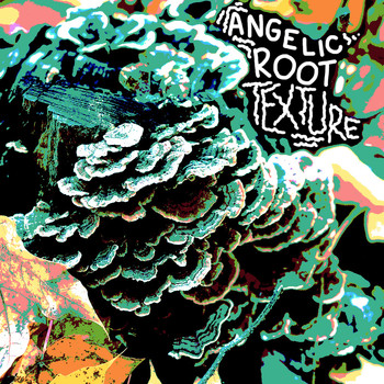 Angelic Root - T E X T U R E  EP