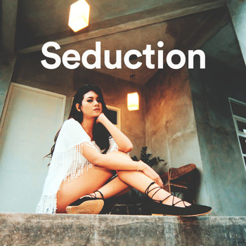 Various Artists - Seduction With Music