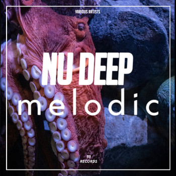 Various Artists - Nu Deep Melodic