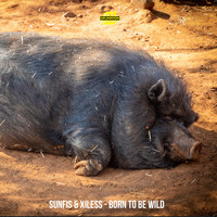 Sunfis, Xiless - Born To Be Wild