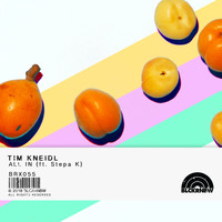 Tim Kneidl - All In (feat. Stepa K)