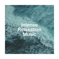 Oasis de Détente et Relaxation, Sounds of Nature White Noise for Mindfulness, Meditation and Relaxation, Sounds of Nature Relaxation - Intense relaxation music